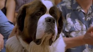 Бетховен-3, фильм-комедия