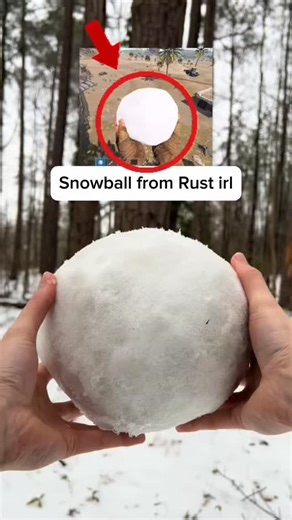 Vincent🧟‍♂️🩶 on Instagram: "Rust snowball IRL #rust #rustsnowball #rustclan #rustraiding #rustbeach"