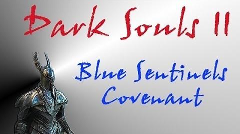 Dark Souls II - Blue Sentinels Covenant