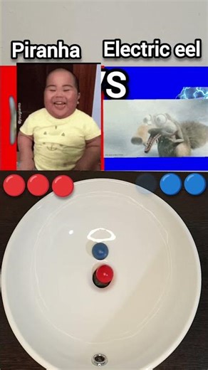 Piranha VS Electric Eel