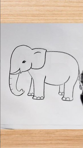 How to draw elephant drawing easy step by step