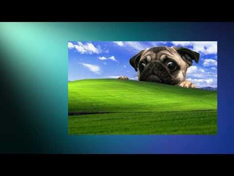 Over 10,000 Clips with ClipJump - Clipboard Manager Review