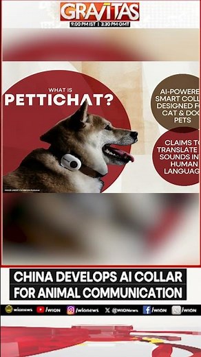 China’s AI Pet Collar Claims to Translate Barks and Meows Into Human Language