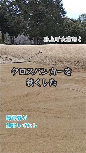 【日本芝は】久しぶりに芝張り作業組んだら、他も張りたくなっちゃった【だいたい自前】