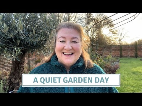 Quiet Winter Gardening | Pansies, Geraniums & Hellebores// Cottoverdi