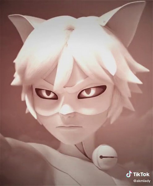 Miraculous Chat Blanc Edit by Celi | Qvzxlv