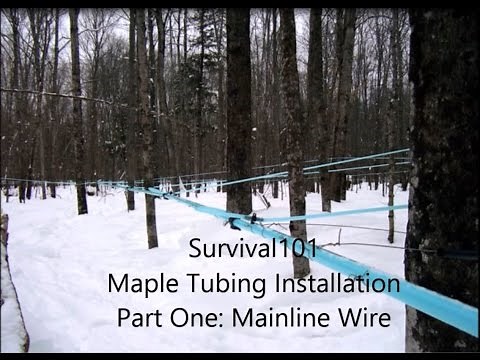 Maple Mainline Installation