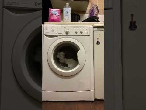 washing machine video's for Relaxation to help with stress , anxiety and to send your BABY TO SLEEP