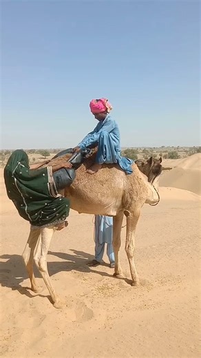 قصة حقيقية من الصحراء: تجرأت الفتاة على حمل حمولة من الماء على ظهر جمل