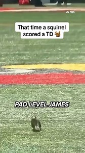 85K views · 3.9K reactions | A true athlete | Las Vegas Raiders on CBS Sports | Facebook