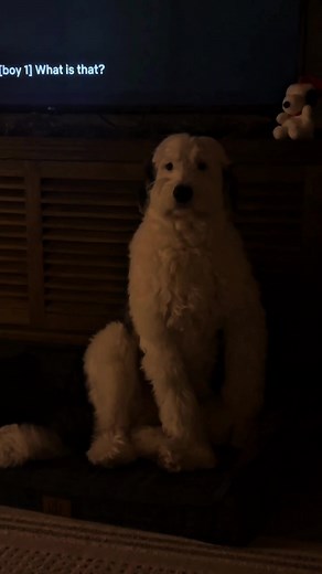 Exploring Skinwalker Myths and Dog Encounters