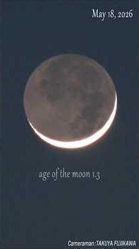 生まれたての月と宵の明星 2026/05/18 (age of the moon 1.3) #moon #月 #shorts #月齢1.3 #宵の明星 #金星 #木星