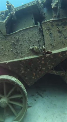 #LostWarshipsHunter #WarshipWrecks #SunkenWarships #ShipwreckDiving #UnderwaterExploration #DeepSeaDiving #WreckHunter #OceanDiscovery #MaritimeHistory #UnderwaterAdventure 🌊 What lies beneath is not just mystery — it is reality. The deep ocean holds evidence of forgotten events and lost worlds. These discoveries reshape our understanding of Earth. Dive deeper. #OceanDiscovery #DeepSea #HiddenTruth #Explore #Trending ### 2026-01-01 😊 Sunken Ship Stories | Sunken Ship Stories