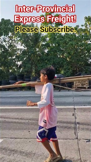 Carabao hauling coconuts in Bicol Philippines #semiretiredfoamer #coconut #travel #bicol