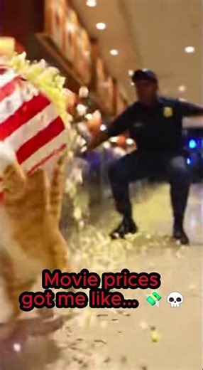 Cat Steals Popcorn and Escapes Security 🍿🏃‍♂️