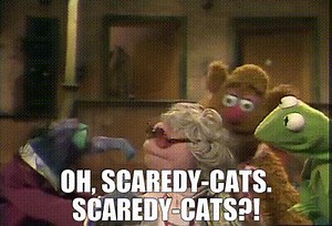 Oh, scaredy-cats. Scaredy-cats?!