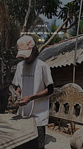 😂🫶🏻 #pigeon #viral #ing_kavi_x #pigeonslover