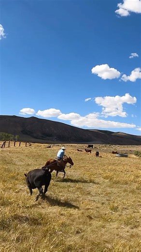 15K views · 5.1K reactions | Never weaken! Dig deeper! #ranchroping #ranchlife | 3:10 Ranch Life | Facebook