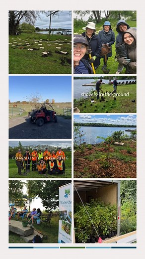 Your donation matched means more native plants in the ground across Canada! Restore more shorelines, wetlands, and community parks with your Giving Tuesday donation today: https://watersheds.ca/match | Watersheds Canada