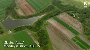 10K views · 298 reactions | From farmers' fields to factory floors, next week's program tells the story of the workers who slave away to produce the food we buy and eat on a daily basis. | Four Corners | Facebook