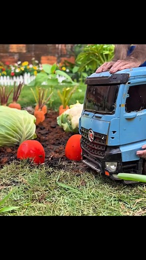 Life on a Monkey Vegetable Farm