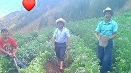 6.6K views · 133 reactions | ¡Cuando sientas algo que hace vibrar tu corazón ,no te preguntes que es .....Sólo disfrútalo hasta el final ,por que esa emoción ,ese sentimiento se llama vida !......珞欄壟 | Restaurante Turistico la Casita de la Meseta Andina | Facebook