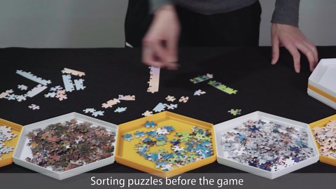 Becko US Stackable Puzzle Sorting Trays Jigsaw Puzzle Sorters with Lid Puzzle Accessory for Puzzles Up to 1500 Pieces, 8 Hexagonal Trays in White & Blue