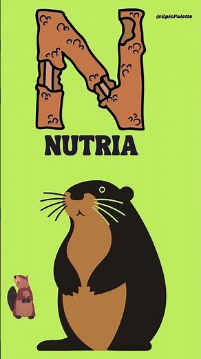 ABC Animals | Alphabet Flashcards for kids - Learn Alphabets With Animals | #flashcards #abcanimals