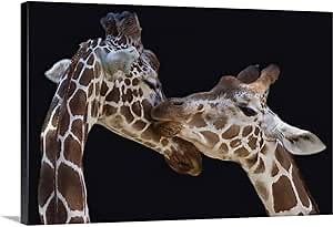 CANVAS ON DEMAND The Kiss Canvas Wall Art Print by Manfred Foeger, Fine Art Photography, Home Decor, Giraffe, Wild Life Artwork,30" x20in