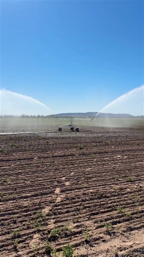 Built for farmers, ranchers, and regenerative operations, the VCI-MK2 delivers controlled, low-pressure irrigation that works with your soil-not against it. Apply ½" to 2" of water in a single pass across up to 4.5 acres, matching moisture to crop and pasture needs. With up to 1,200 feet of travel and a 160-foot spray diameter, it provides wide, even coverage that supports better infiltration, less runoff, and healthier root zones-using water efficiently where it matters most. Vaughanirrigatorsu