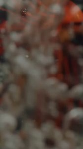 1.7K views · 24 reactions | Limited Edition Alert A Red Jig— Here by popular request and live on our site right now! 﫡 This Jig color is *super* limited in quantity so hit it up before it’s too late! You can find it in the Compact Swim Jig, California Swim Jig, and to complete the entire red collection, the Compact Spinnerbait.  | Dirty Jigs Tackle | Facebook