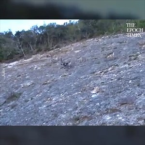 Hold your breath!! Credit: Jukin Media | Bright