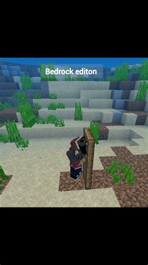 Java vs bedrock 💀