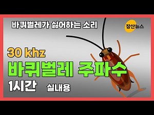 바퀴벌레가 싫어하는 소리 , 바퀴벌레퇴치 주파수, 바퀴벌레 쫓는 소리, 바퀴벌레퇴치소음 #바퀴벌레 #바퀴벌레퇴치 #해충퇴치 #해충방역 #해충