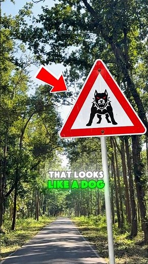 The Meaning Behind This Triangle Sign with Red Dog Eyes🔺️😱