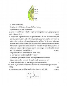 biology class 12 model paper up board examination 📚