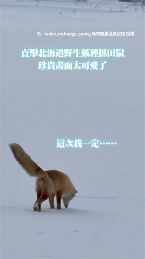 超可愛！！！（＃嘴邊肉） 影片授權：IG／ @wulai_rechange_spring 烏來旅晨溫泉民宿 | ETtoday新聞雲