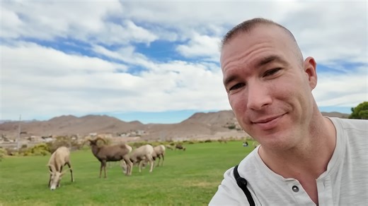 What Vegas locals do not want tourists to know