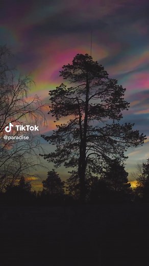 Magical Polar Stratospheric Clouds: A Natural Phenomenon