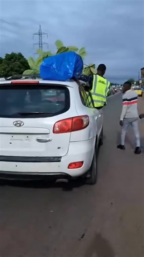 The new Sycamore tree has landed! A symbol of growth and legacy for the CDC’s upcoming national headquarters. | Inside Liberia
