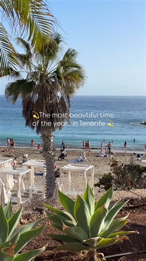 La época más bonita del año… en Tenerife. 💫 Y si todavía dudas en venir a la isla este diciembre, nosotros decimos que sí. 🤩 Te esperamos en Green Garden Eco Resort. The most beautiful time of the year… in Tenerife. 💫 Y si todavía dudas en venir a la isla este diciembre, nosotros decimos que sí. 🤩 Te esperamos en Green Garden Eco Resort. #islascanarias #greengardenecoresort #tenerife #playadelasamericas #christmas #tenerife | Green Garden Eco Resort