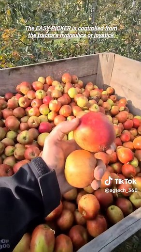 Efficient Apple Picking Machine by Pro-Cnc Poland