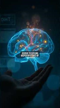 What Happens in Your Brain During a Near-Death Experience? The Science Behind the Final Moments