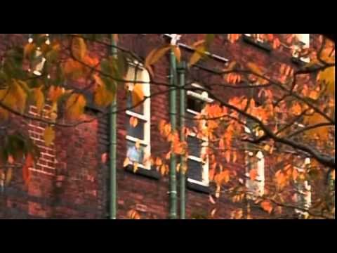 Heir Hunters Season 4 Episode 01 Bobuk Thebox