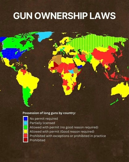 Global Gun Ownership Laws Explained 🔫🗺️