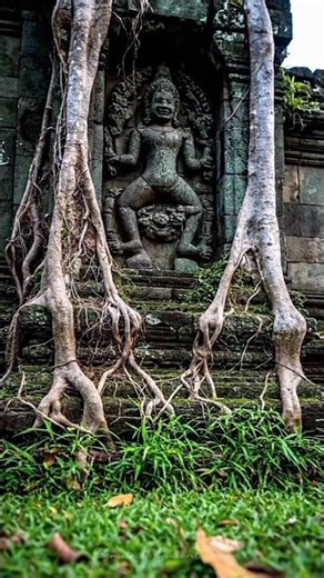 Enjoy the View of Ancient Java Temples #SasmitaJava