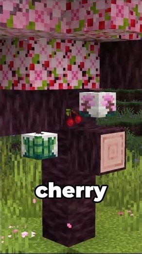 CHERRIES in Minecraft!
