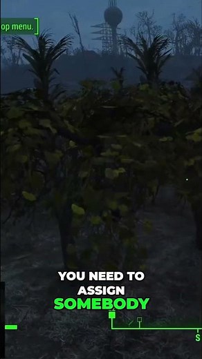 How to Grow Food and Assign Settlers in Fallout 4 #fallout4 #fallouttips #fallout #gamingguide