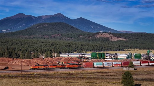 Breathing life back into the woods | US Forest Service