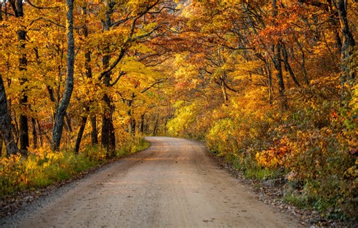 A long breath of crisp air, and background views like these make fall in the mountains magical. The color isn’t peak in most areas- yet. But the golds and yellows are getting ready to pop with reds and purples in the coming weeks. See our ready to go trip itinerary here: https://www.visitccnc.com/your-fall-trip-itinerary-cherokee-county-edition/ #leafpeeping #simplywanderful #fallseason #mountainsarecalling | Visit Cherokee County